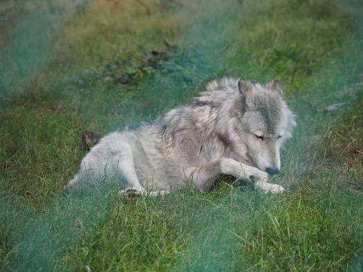 Forestia (Theux, Belgium)